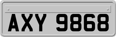 AXY9868