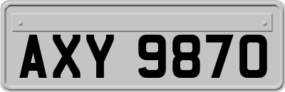 AXY9870