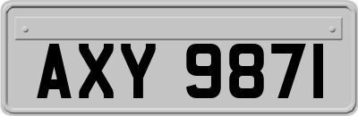 AXY9871