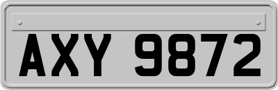 AXY9872