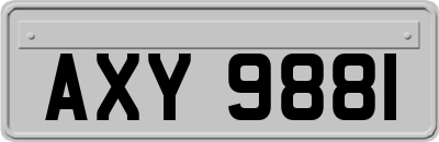 AXY9881