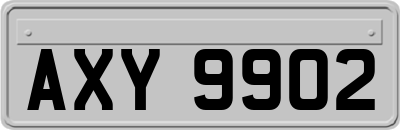 AXY9902