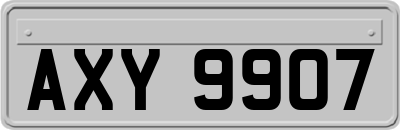 AXY9907