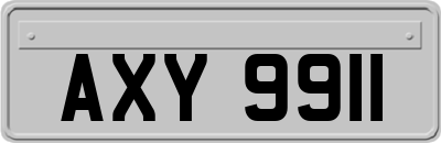 AXY9911