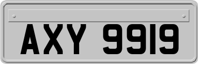 AXY9919