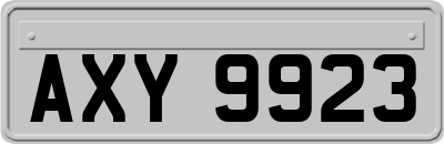 AXY9923