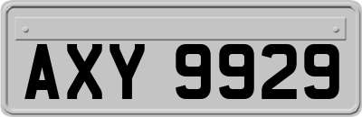 AXY9929