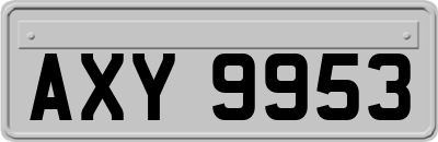 AXY9953
