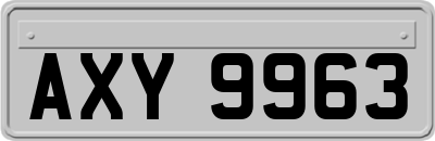 AXY9963
