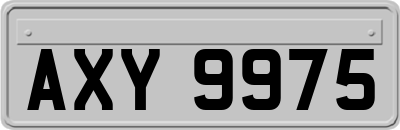 AXY9975