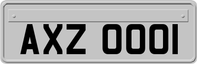 AXZ0001