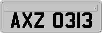 AXZ0313