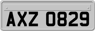 AXZ0829