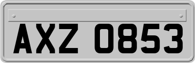AXZ0853