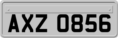 AXZ0856