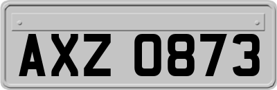 AXZ0873