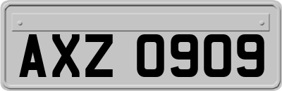 AXZ0909