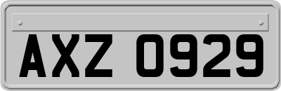 AXZ0929