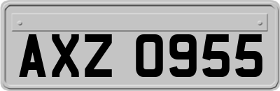 AXZ0955