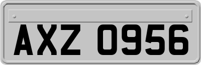 AXZ0956