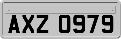 AXZ0979
