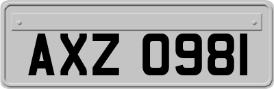 AXZ0981