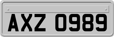 AXZ0989