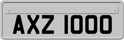 AXZ1000