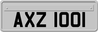 AXZ1001