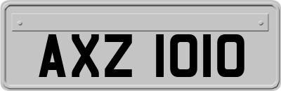 AXZ1010