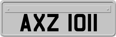 AXZ1011