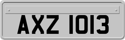 AXZ1013