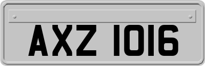 AXZ1016