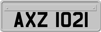 AXZ1021