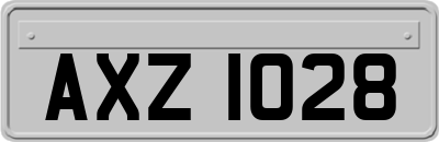 AXZ1028