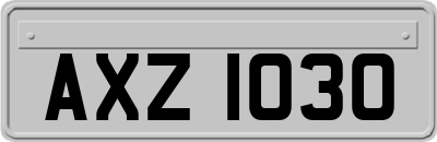 AXZ1030