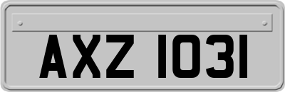 AXZ1031