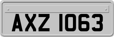 AXZ1063
