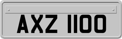 AXZ1100