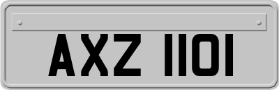 AXZ1101