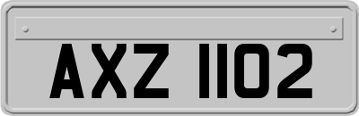 AXZ1102