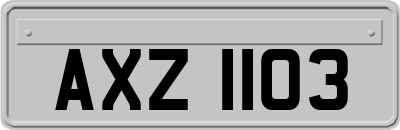AXZ1103