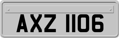 AXZ1106