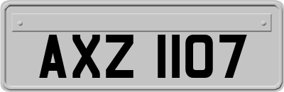 AXZ1107