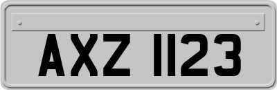 AXZ1123