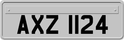AXZ1124