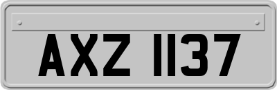 AXZ1137
