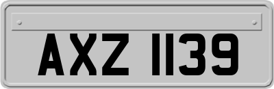 AXZ1139