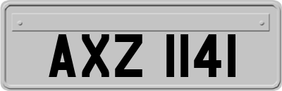 AXZ1141