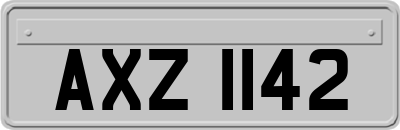 AXZ1142